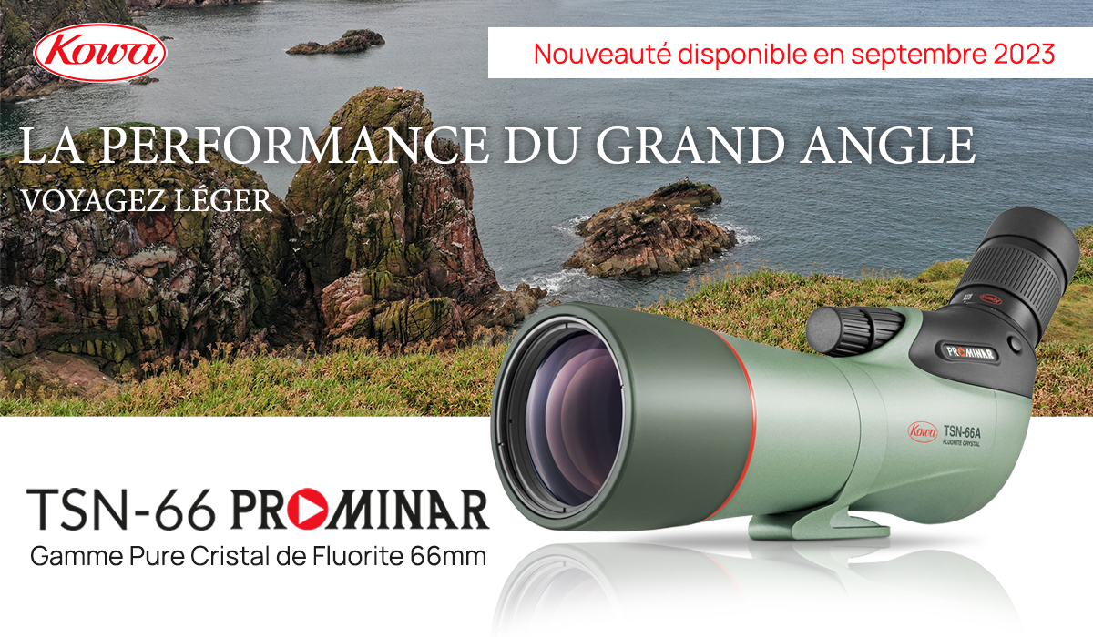 Nouvelle Kowa TSN-66 PROMINAR Kowa TSN-66 PROMINAR